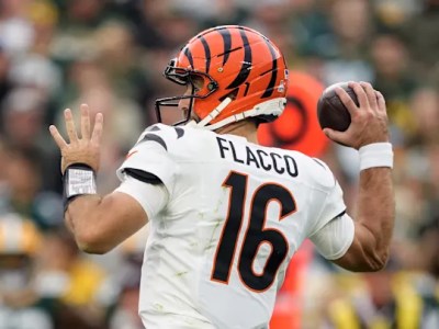 2025 NFL Week 11&nbsp;Predictions